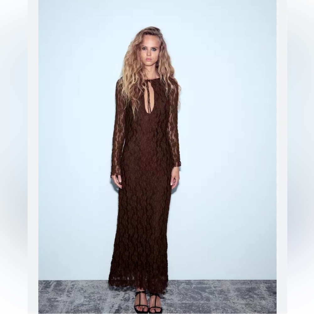 Zara Brown Lace Maxi Dress